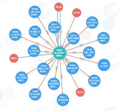 少林寺進(jìn)軍房地產(chǎn) 無(wú)形資產(chǎn)對(duì)外投資16家公司的戰(zhàn)略布局與管理